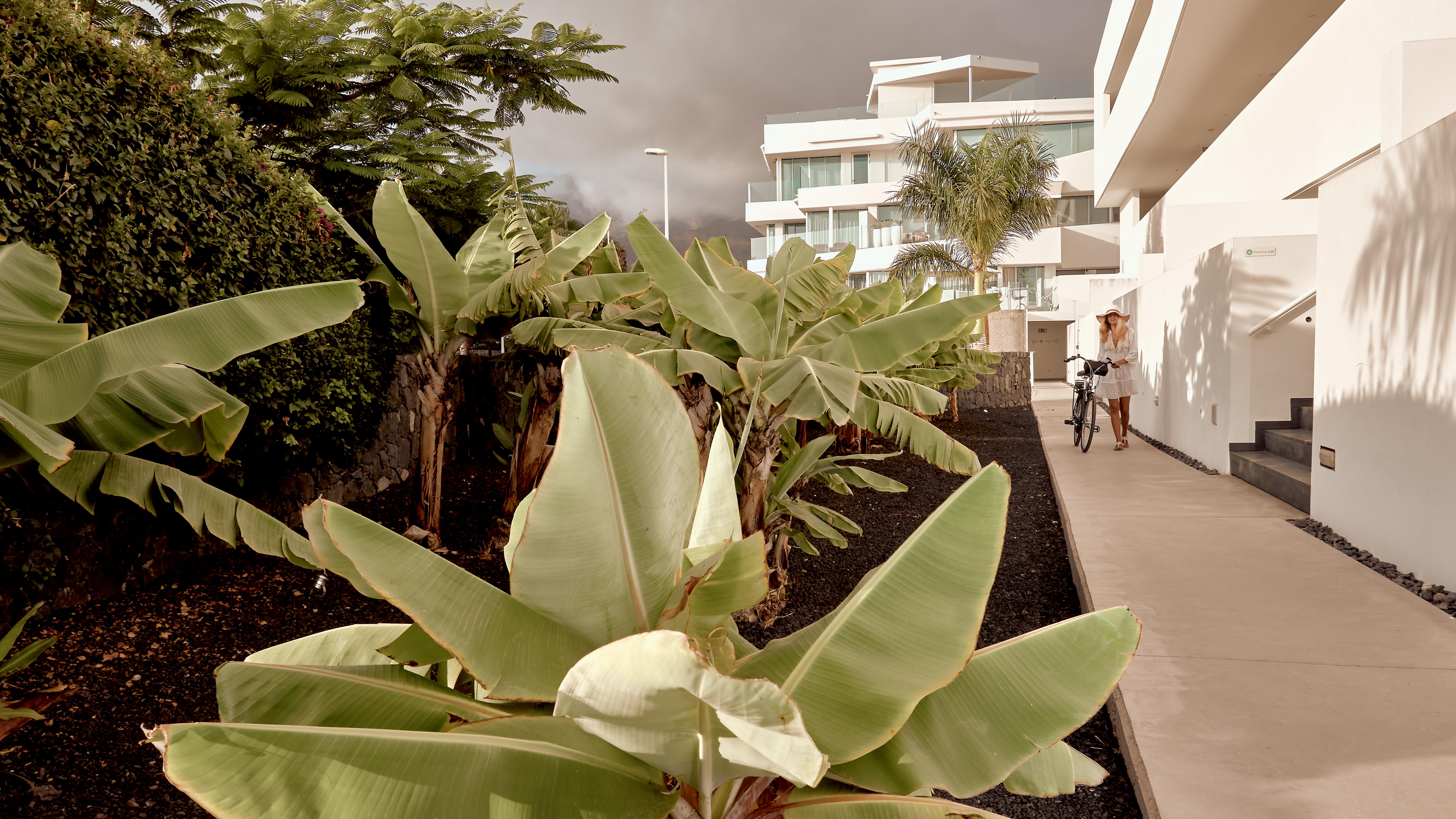 Hotel Baobab Suites Costa Adeje  Bagian luar foto